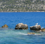 Снимок экрана 2015-08-02 в 16.37.05.png